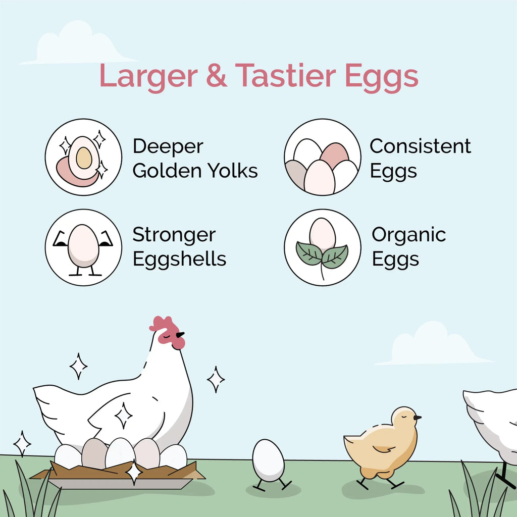 Stylish Mile Four | Grower Organic Chicken Feed | 100% US Grown Grains, Certified Organic, Certified Non-GMO, Corn-Free, Soy-Free, Non-Medicated Chicken Food | 18% Protein | Whole Grain | 46 lbs.