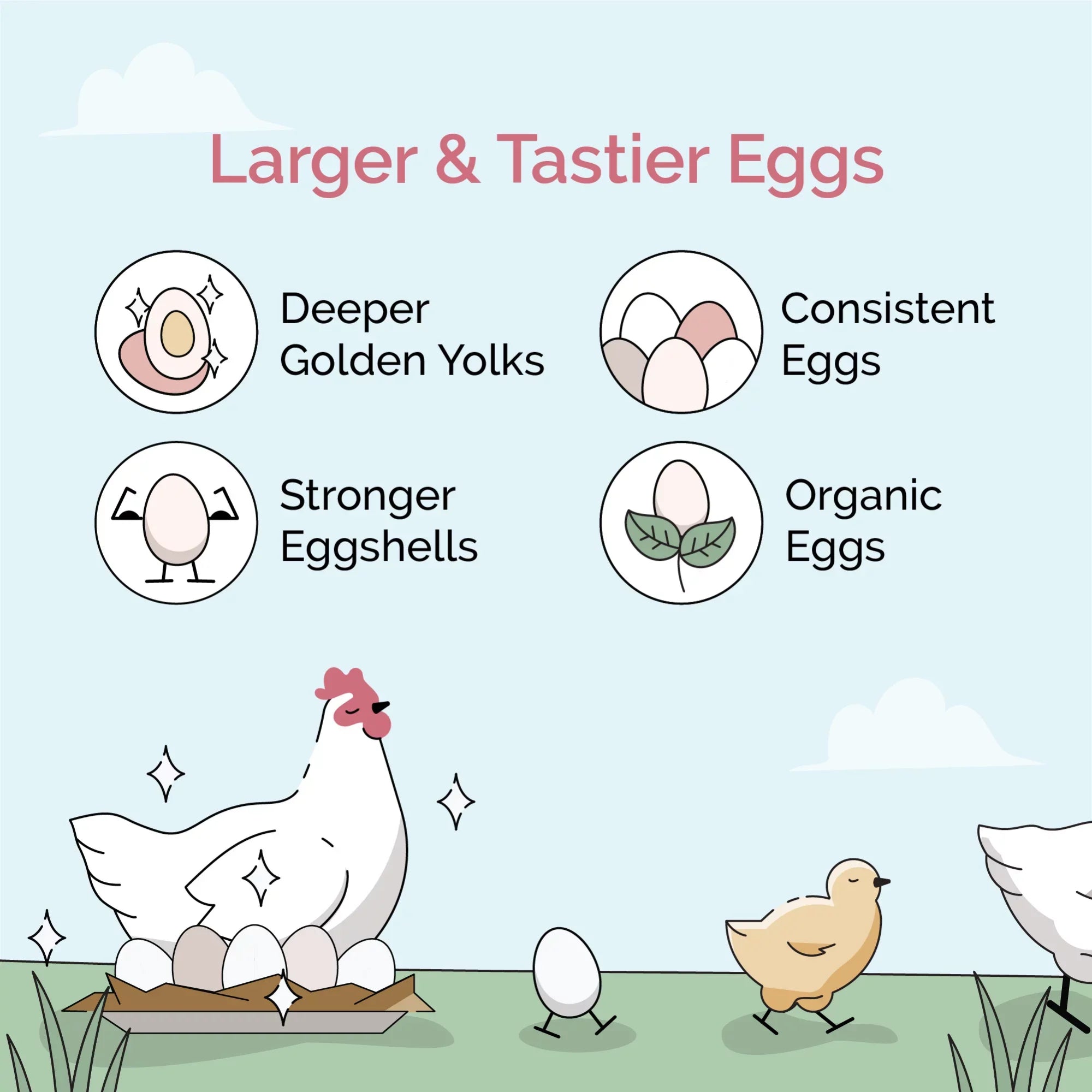 Stylish Mile Four | Grower Organic Chicken Feed | 100% US Grown Grains, Certified Organic, Certified Non-GMO, Corn-Free, Soy-Free, Non-Medicated Chicken Food | 18% Protein | Whole Grain | 46 lbs.