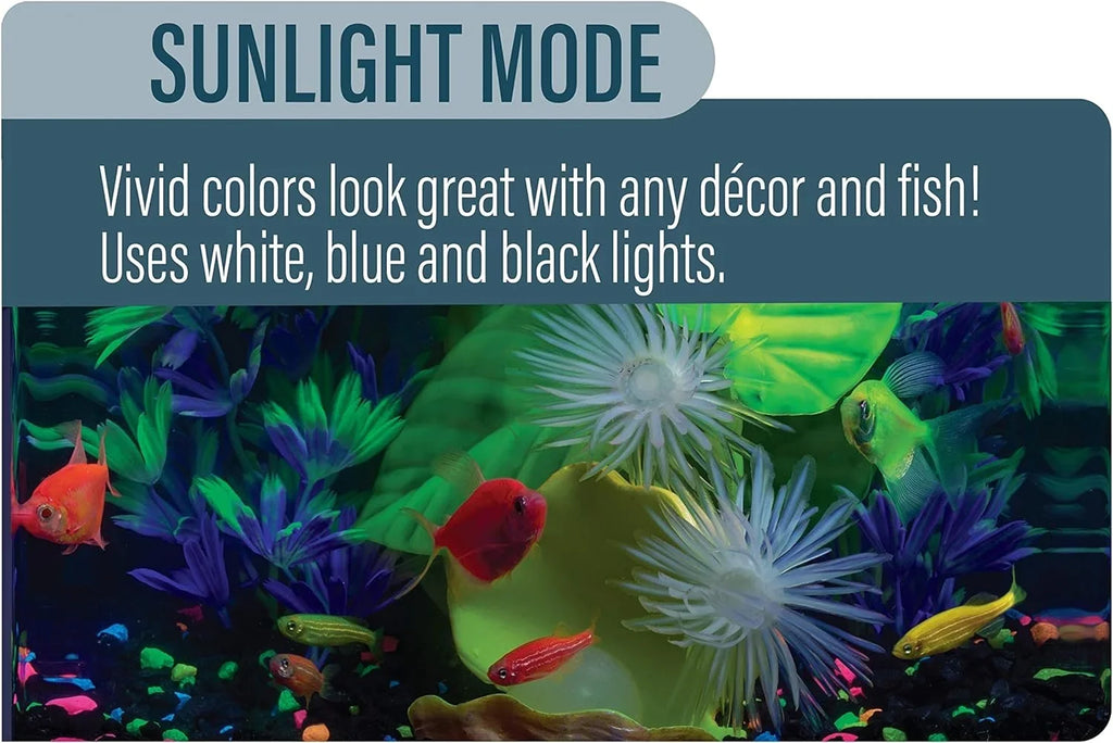 Stylish LED Light 5 Gallons, Blue And White LED Lights, For Aquariums Up To 5 Gallons, Model:29028
