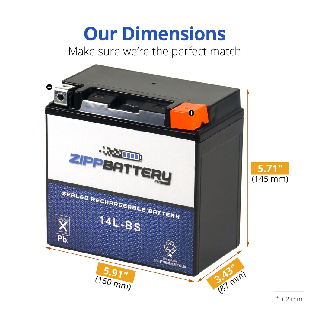 Stylish Zipp Battery Ytx14l-bs (14l-bs 12 Volts,12 Ah, 200 Cca) Motorcycle Battery for Harley-davidson 1200cc Xl Xlh Sportster 2007