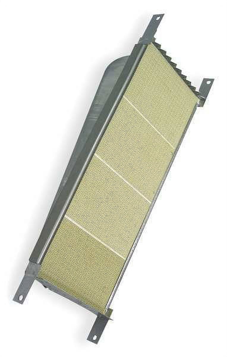 1pack Dayton 1FEL1 High Intensity Rayhead
