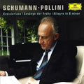 [R. Schumann] Schumann: Kreisleriana; Ges Nge Der Fr He; Allegro in B Minor Brand New DVD
