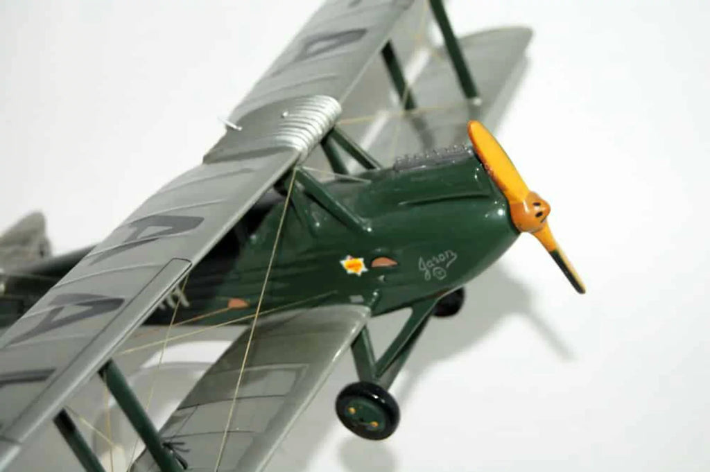 De Havilland DH60G Gipsy Moth Model - Exclusive Design