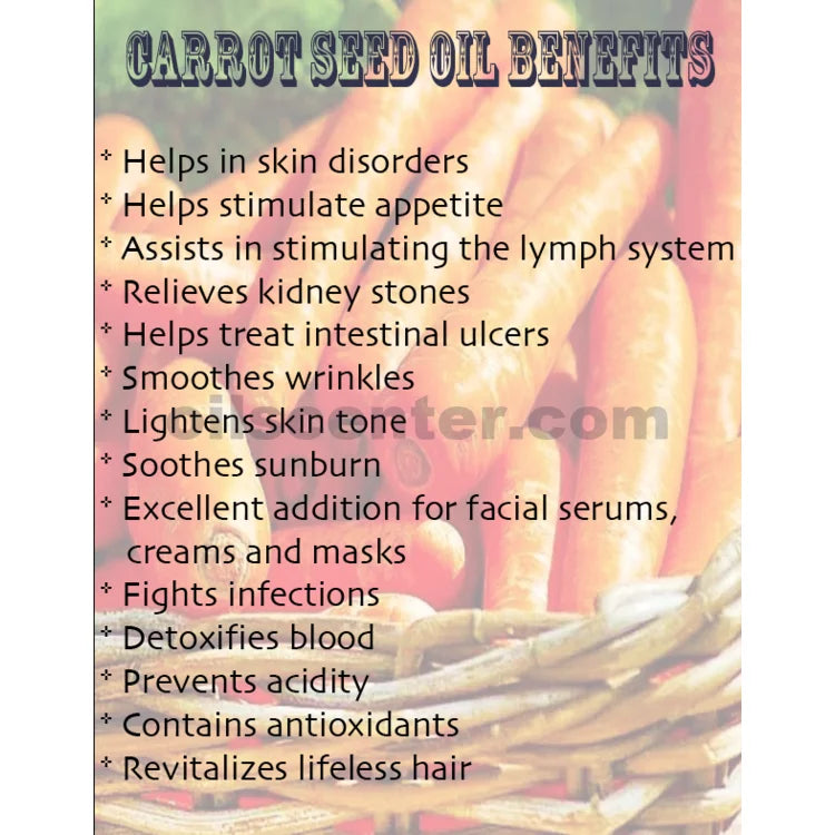 Carrot Seed Oil Organic Carrier Cold Pressed Premium Fresh 100% Pure 16 oz