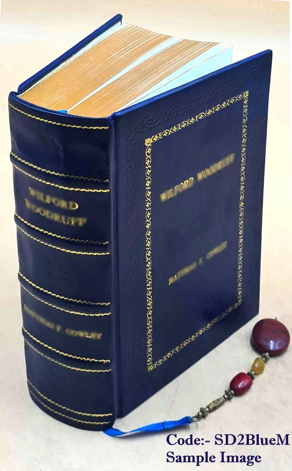 Stylish Doctrine of the Manifestations of the Son of God Under the Economy of the Old Testament 1852 [Premium Leather Bound]