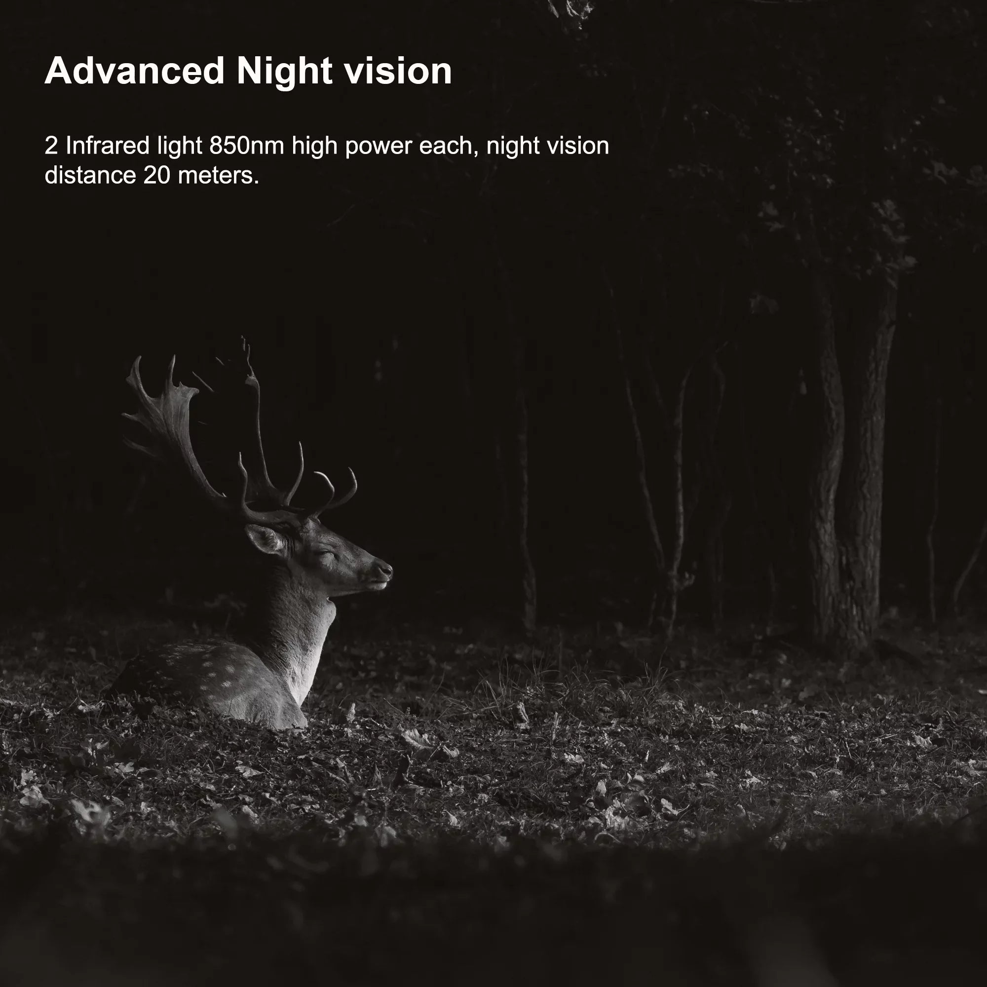 Stylish Rexing H2 20MP 4K Wi-Fi Trail Surveillance Camera for Outdoor, Hunting Cam W/ CMOS Motion Sensor