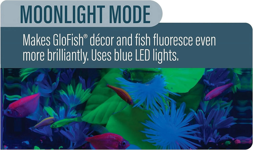 Stylish LED Light 5 Gallons, Blue And White LED Lights, For Aquariums Up To 5 Gallons, Model:29028
