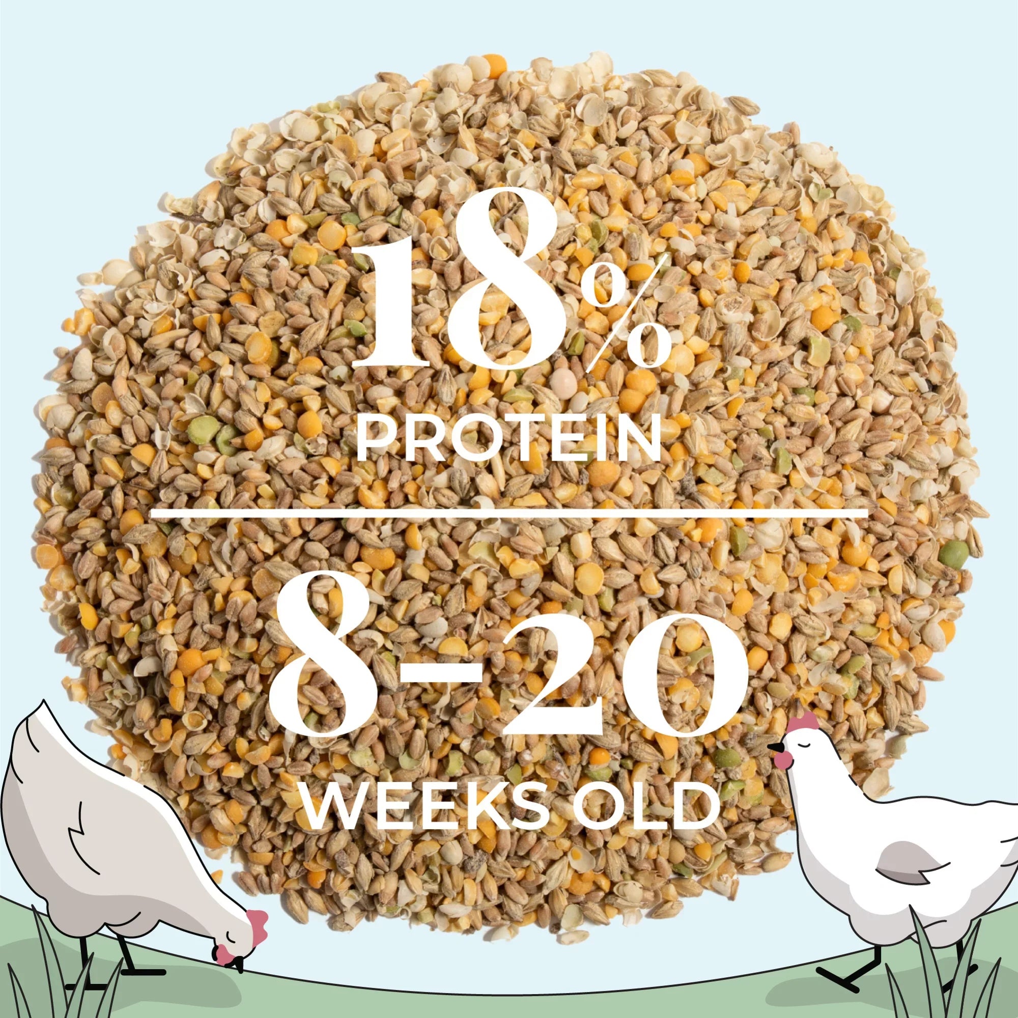 Stylish Mile Four | Grower Organic Chicken Feed | 100% US Grown Grains, Certified Organic, Certified Non-GMO, Corn-Free, Soy-Free, Non-Medicated Chicken Food | 18% Protein | Whole Grain | 46 lbs.
