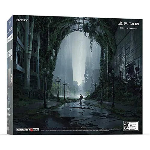 Sony PlayStation 4 - Limited Edition Days of Play - game console - HDR - 1 TB HDD - steel gray