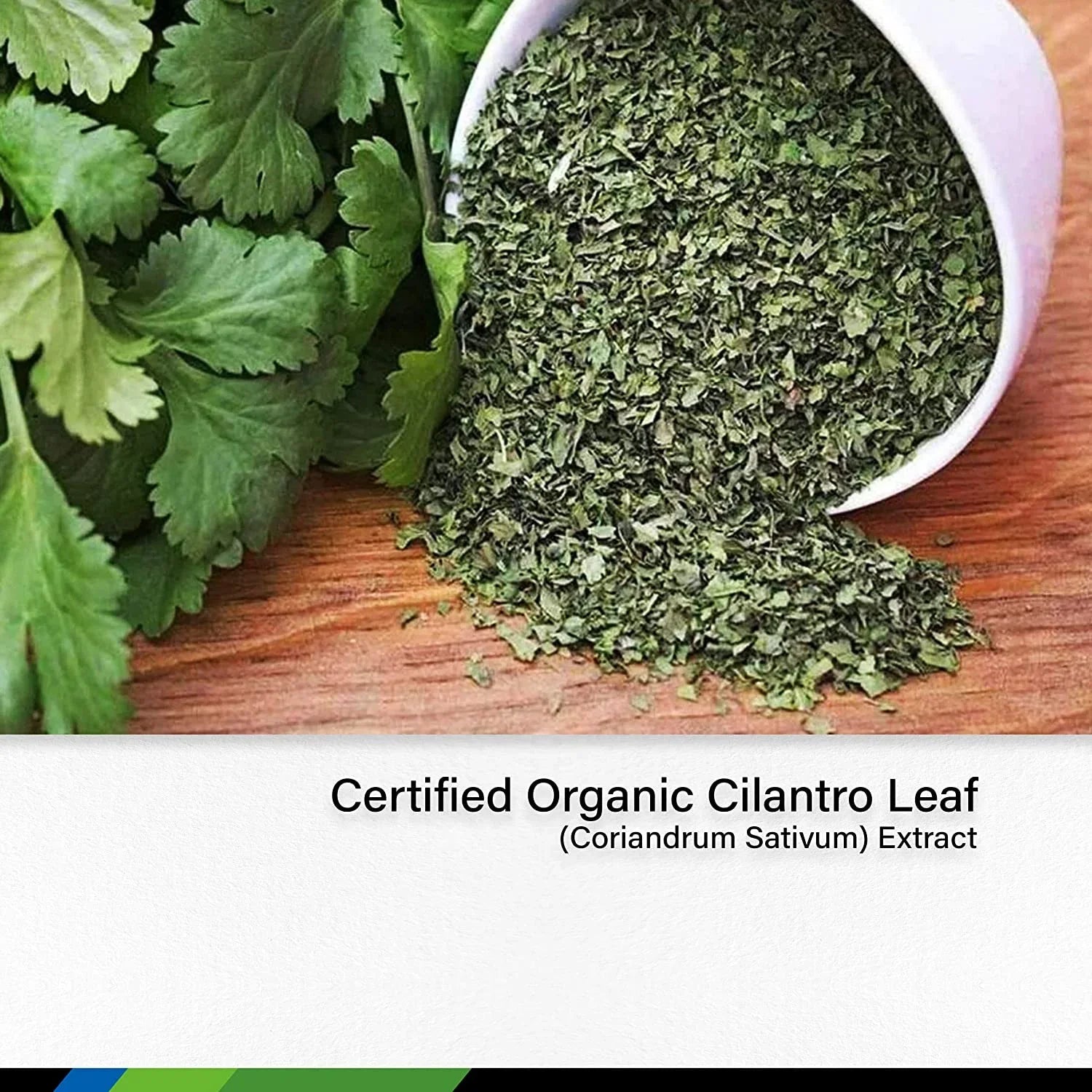 Stylish MAUWE HERBS Cilantro Supplement - Organic Cilantro Leaf Liquid Extract - Coriandrum Sativum Drops for Body Cleansing & Detox - Cilantro Tincture Alcohol Free 2 fl. Oz