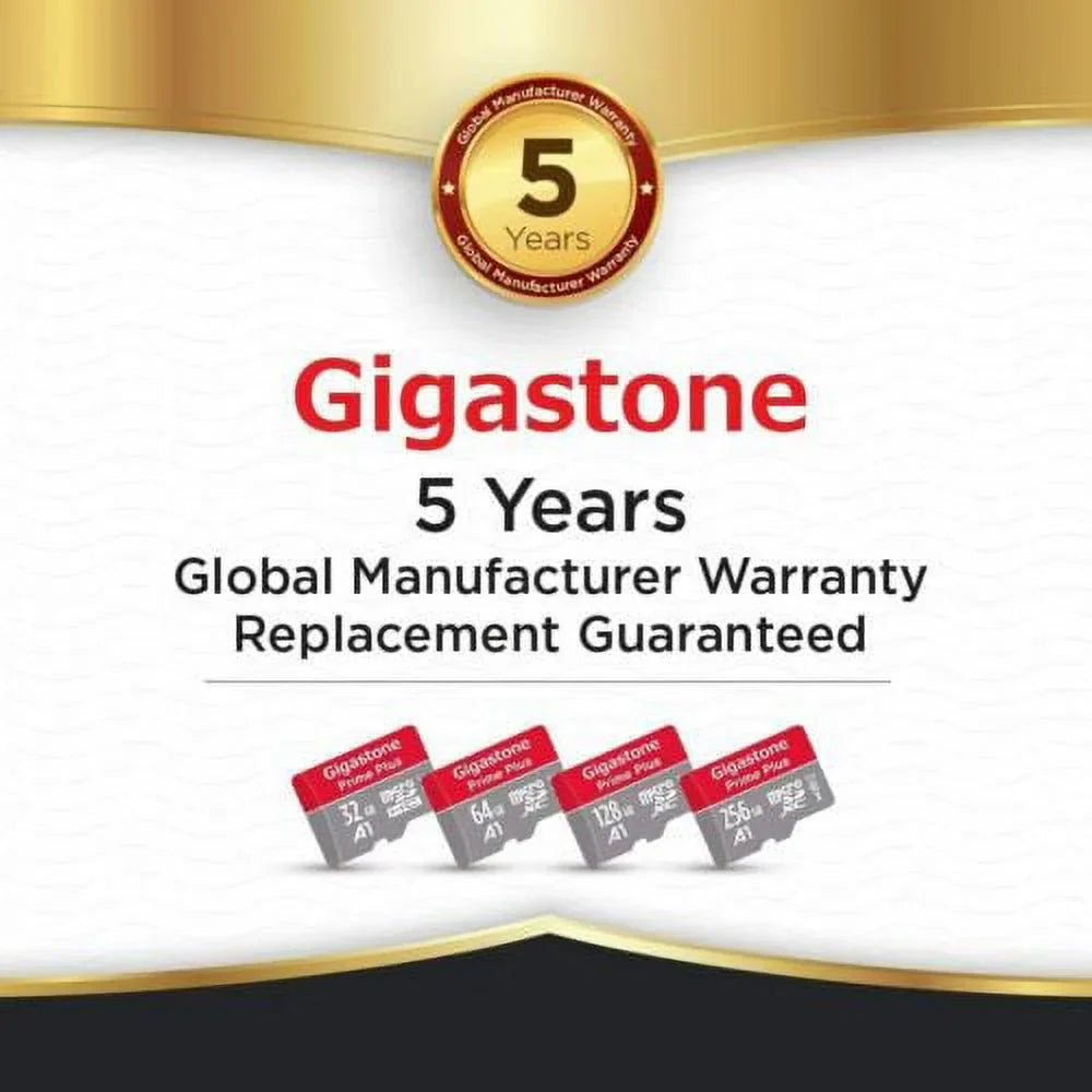 Stylish Gigastone 256GB Micro SD Card, Switch / GoPro Compatible Memory Card, UHS-I SDXC