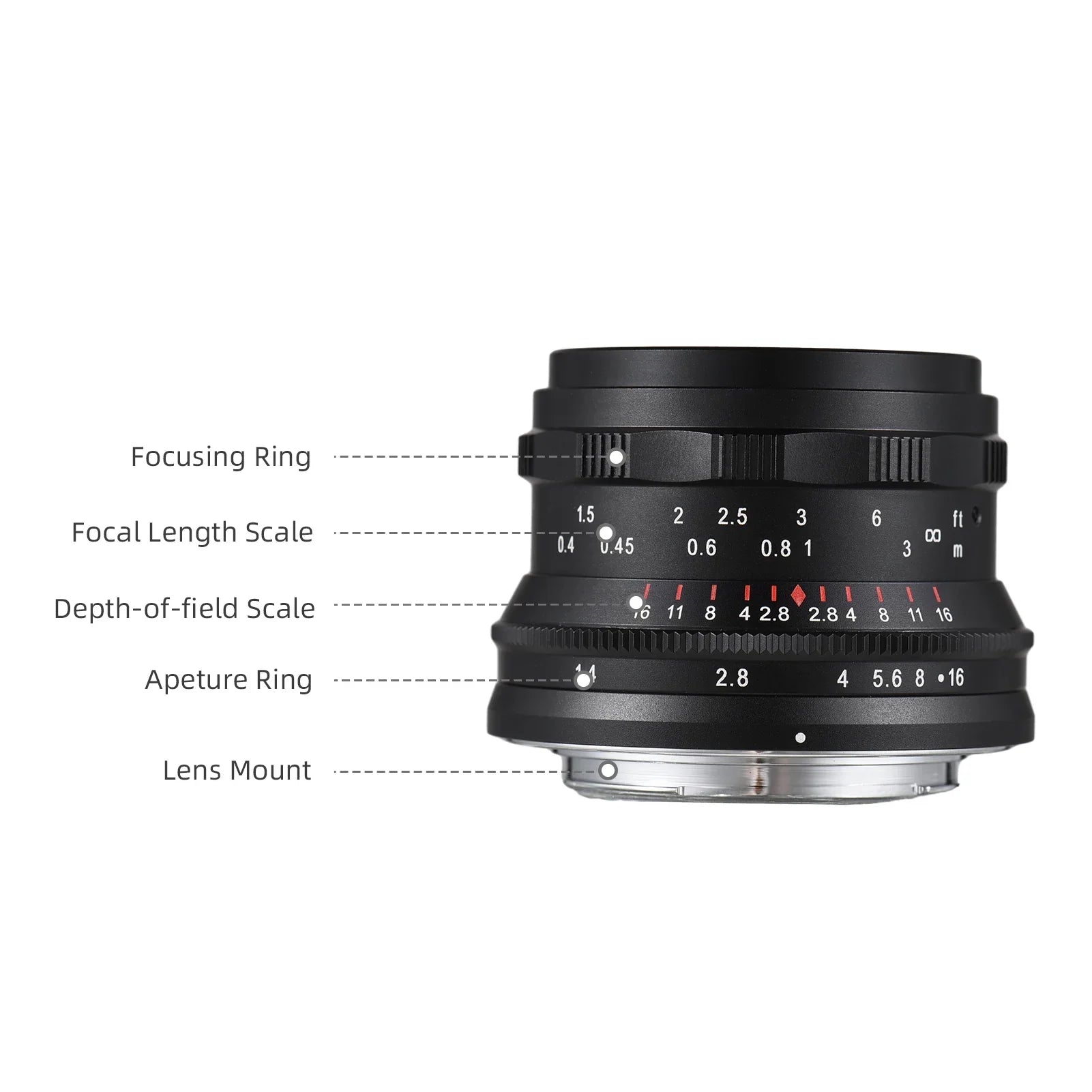 Dcenta Full Frame Camera Lens with Large Aperture Manual Focus for Sony A7/A7II/A7R/A7RII/A7S/A7SII/A6500/A6300 - Exclusive Design