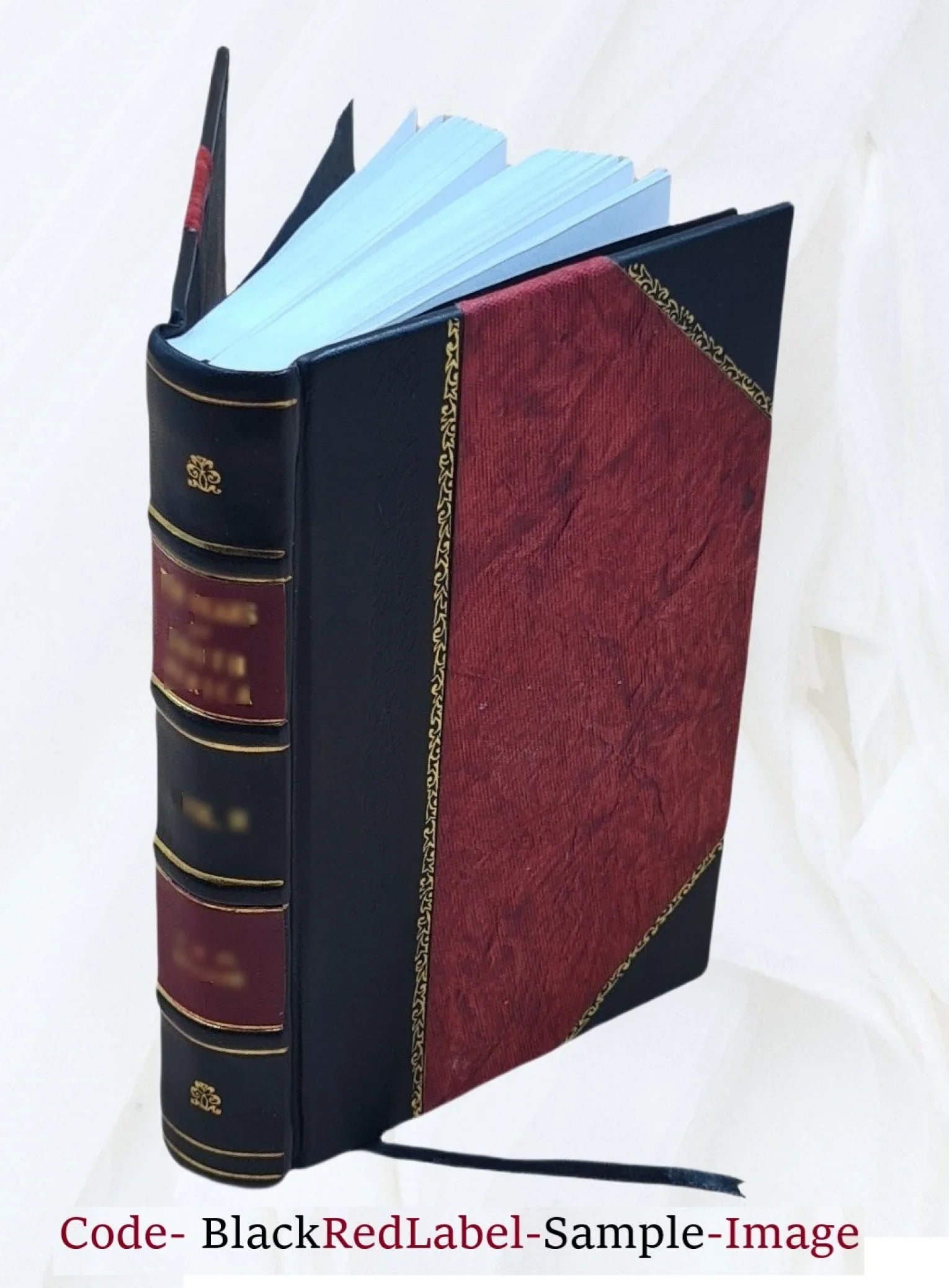 Su e giuÌ per Firenze. 1926 [Leather Bound] - Exclusive Design