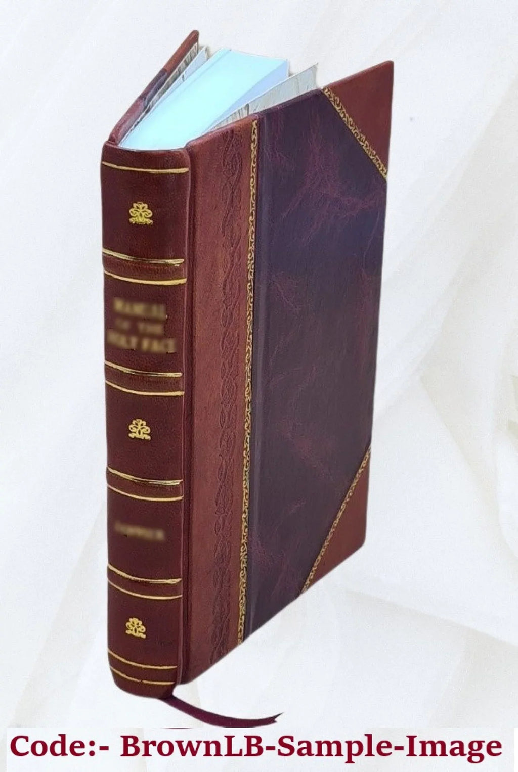 Stylish Songs of the vine; with a medley for malt-worms. Selected and edited 1904 [Leather Bound]
