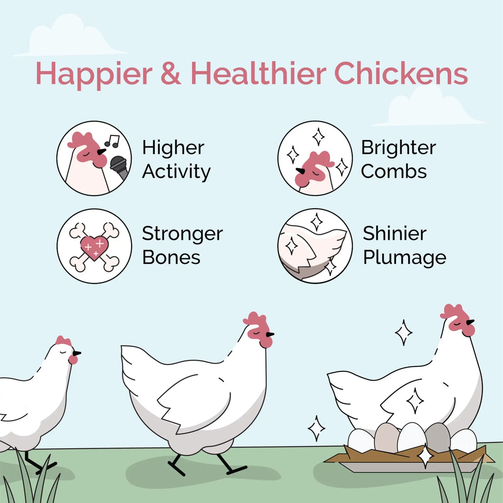 Stylish Mile Four | Grower Organic Chicken Feed | 100% US Grown Grains, Certified Organic, Certified Non-GMO, Corn-Free, Soy-Free, Non-Medicated Chicken Food | 18% Protein | Whole Grain | 46 lbs.