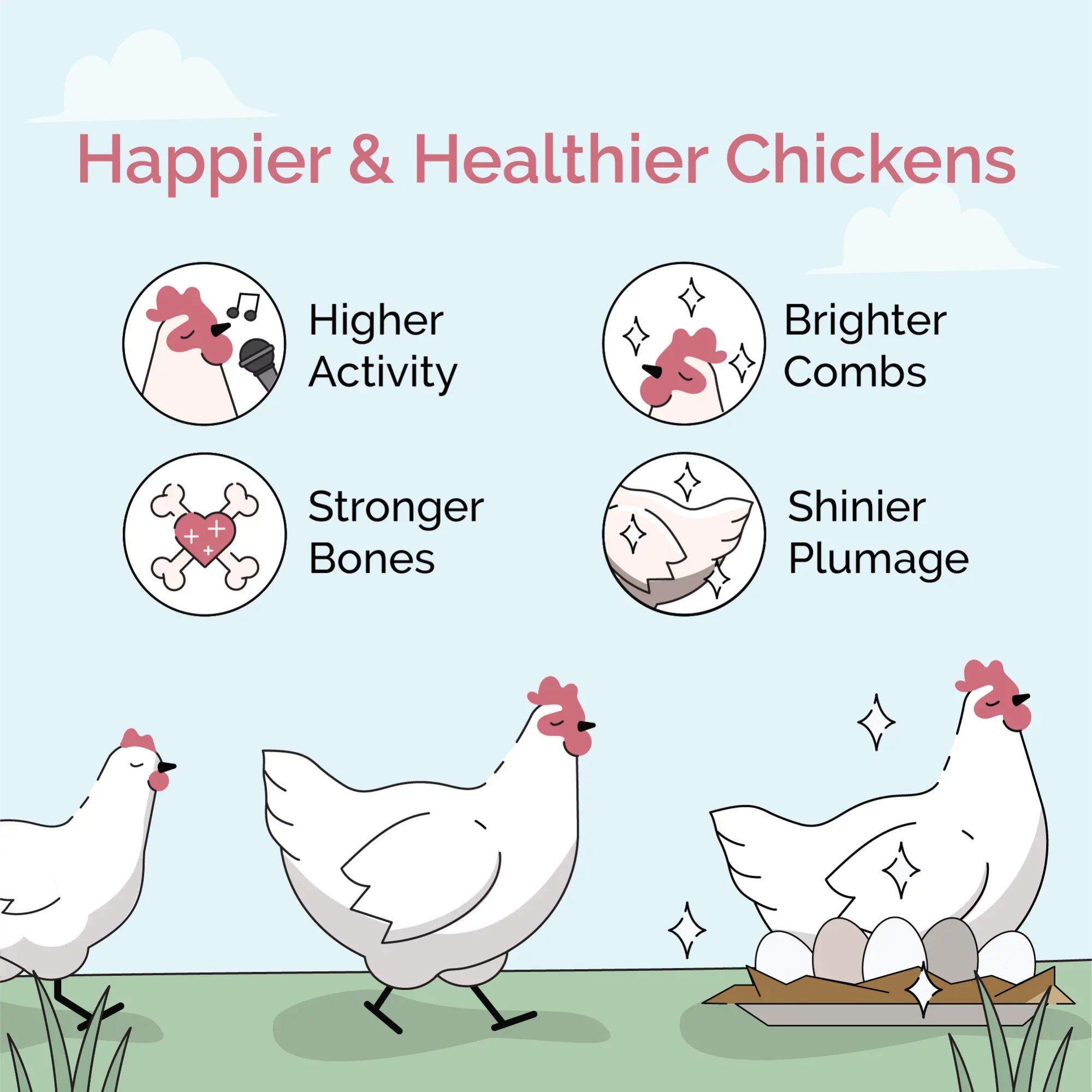 Stylish Mile Four | Grower Organic Chicken Feed | 100% US Grown Grains, Certified Organic, Certified Non-GMO, Corn-Free, Soy-Free, Non-Medicated Chicken Food | 18% Protein | Whole Grain | 46 lbs.