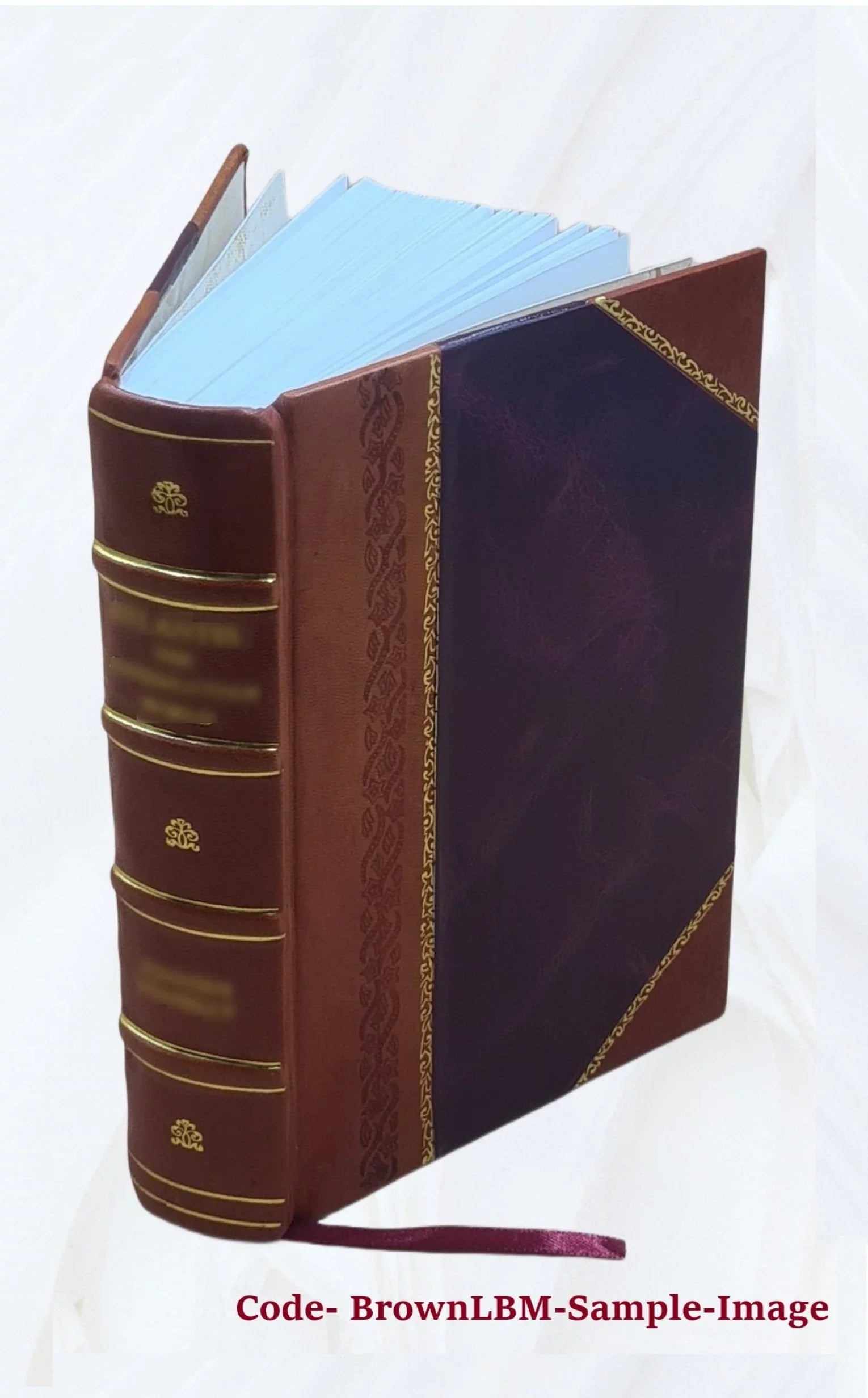Le dioceÌse de GeneÌve (partie de Savoie) pendant la ReÌvolution francÌ§aise Volume 1 1894 [Leather Bound]