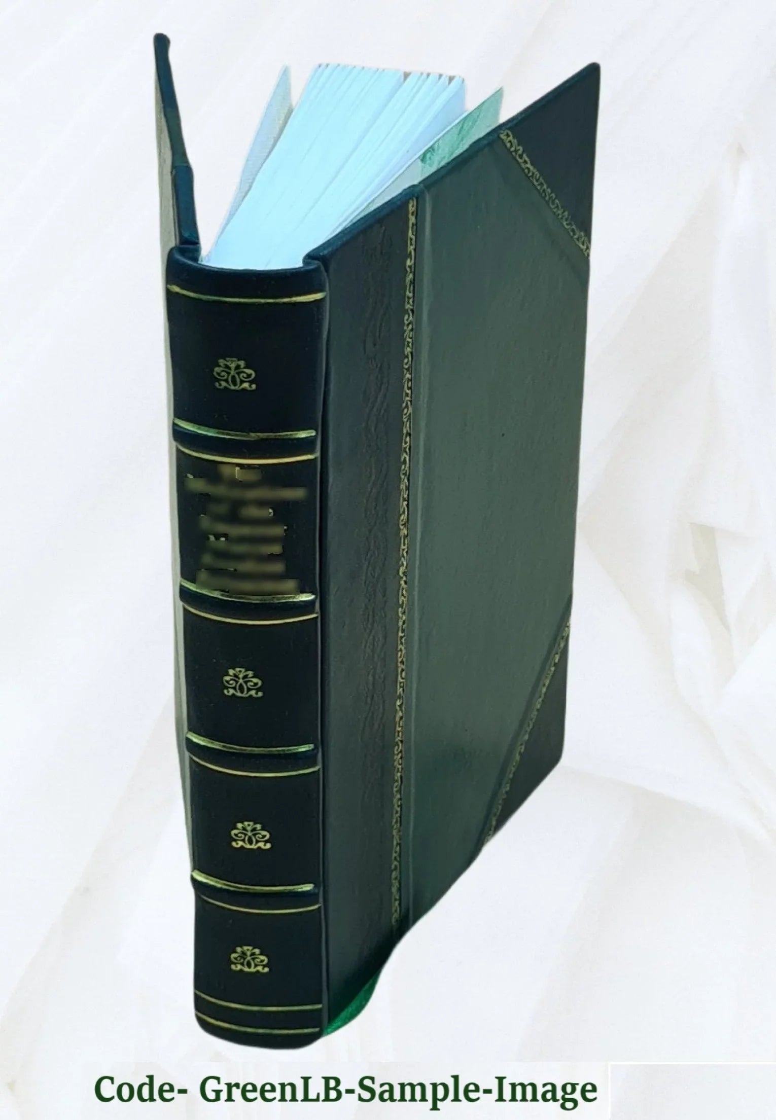 Le nouveau Robinson : pour servir Ã l'amusement et Ã l'instruction des enfans de l'un et de l'autre sexe / ouvrage traduit de l'allemand de M. Campe. v.2. Volume v.2 1833 [Leather - Exclusive Design
