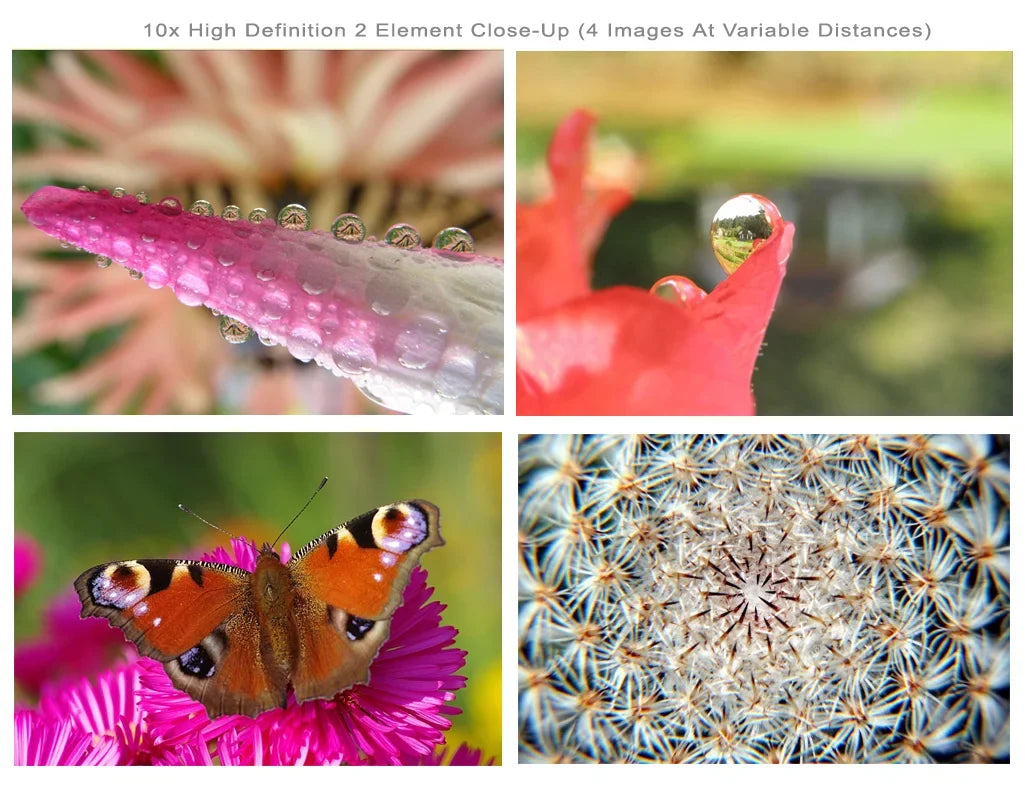 Pentax-D FA 100mm f/2.8 WR Macro 10x High Definition 2 Element Close-Up (Macro) Lens (49mm)