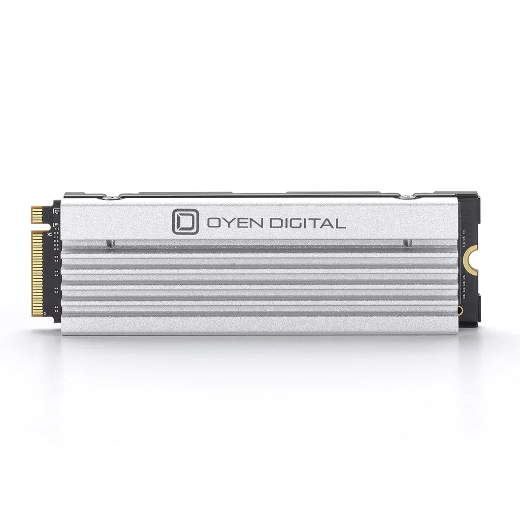 Stylish Dash Pro 8TB NVMe PCIe SSD with Heatsink, Compatible with Sony PS5 Internal M.2 Slot